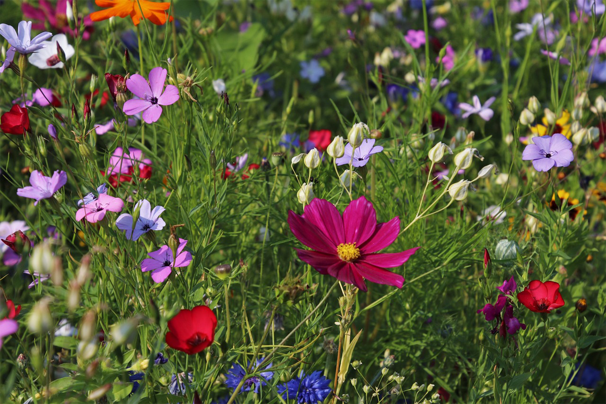 COACHING aux Jardins 
